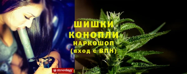 твердый Алзамай