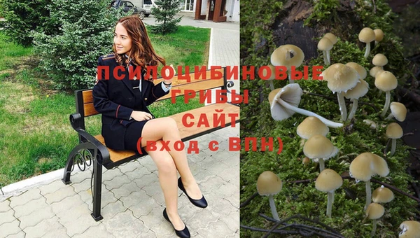 твердый Алзамай