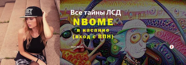 молекула духа Алексин
