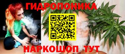 крисы Коммунар
