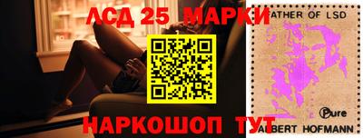 крисы Коммунар
