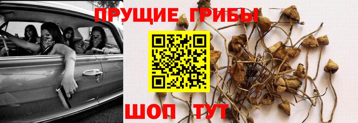 Кропоткин  где продают   Псилоцибиновые грибы мицелий  Вход с VPN  Галлюциногенные грибы прущие грибы 